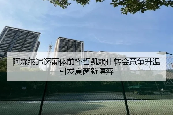 阿森纳追逐葡体前锋哲凯赖什转会竞争升温引发夏窗新博弈